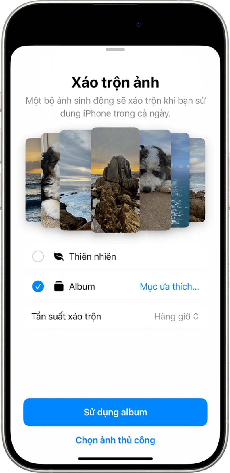 Hướng dẫn cài đặt xáo trộn ảnh trên iPhone