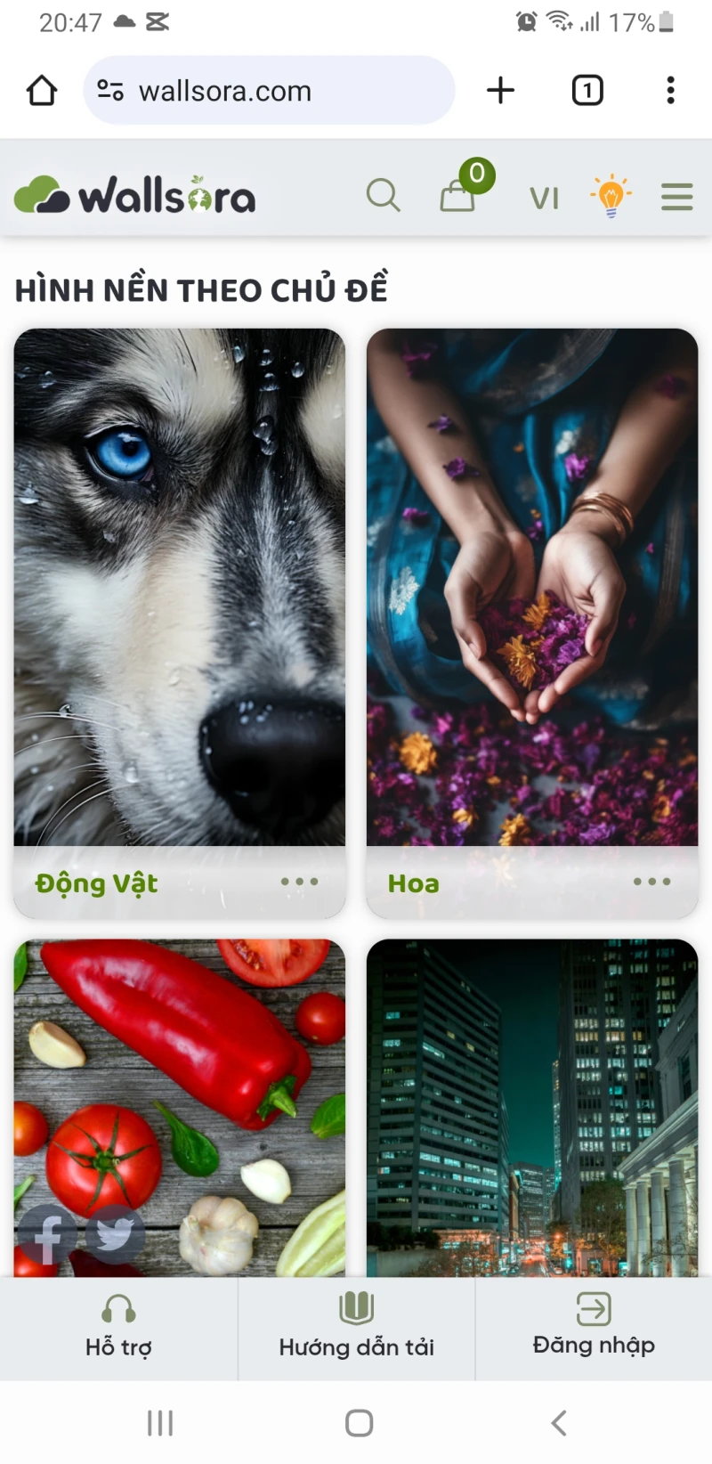 wallsora.com വെബ്സൈറ്റ് ആക്സസ് ചെയ്യുക