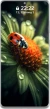 Magandang Koleksyon ng Makukulay na Wallpaper ng Kuwit ng Bulaklak