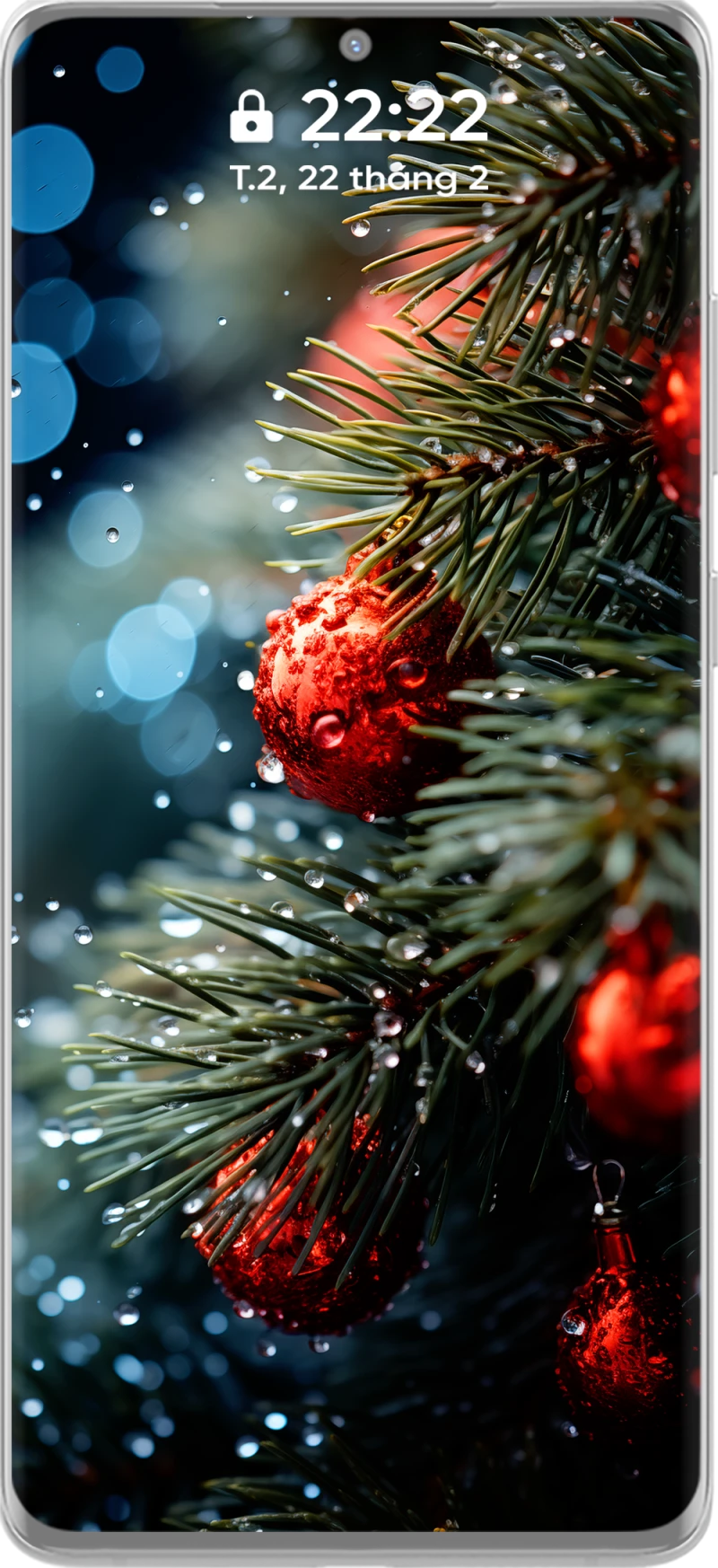 Beautiful and Artistic 4k Water Droplets on Pine Branch Phone Wallpaper Collection