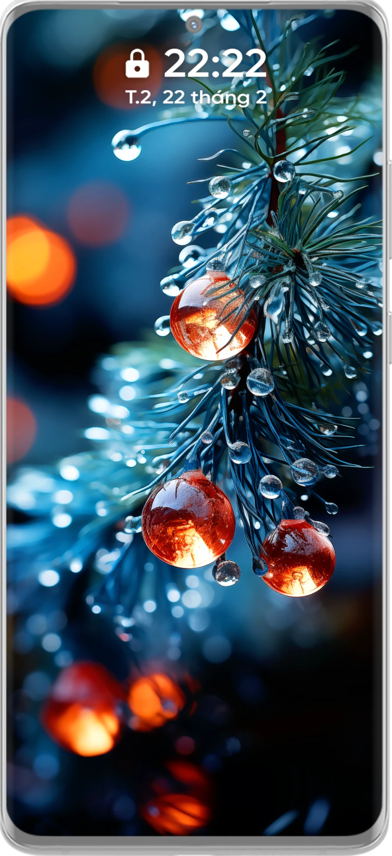 Beautiful and Artistic 4k Water Droplets on Pine Branch Phone Wallpaper Collection