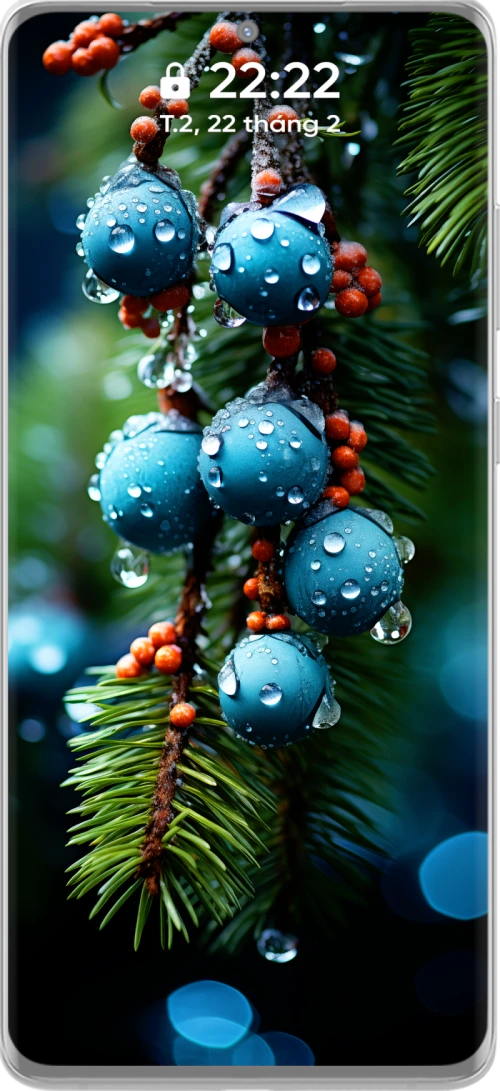 Beautiful and Artistic 4k Water Droplets on Pine Branch Phone Wallpaper Collection