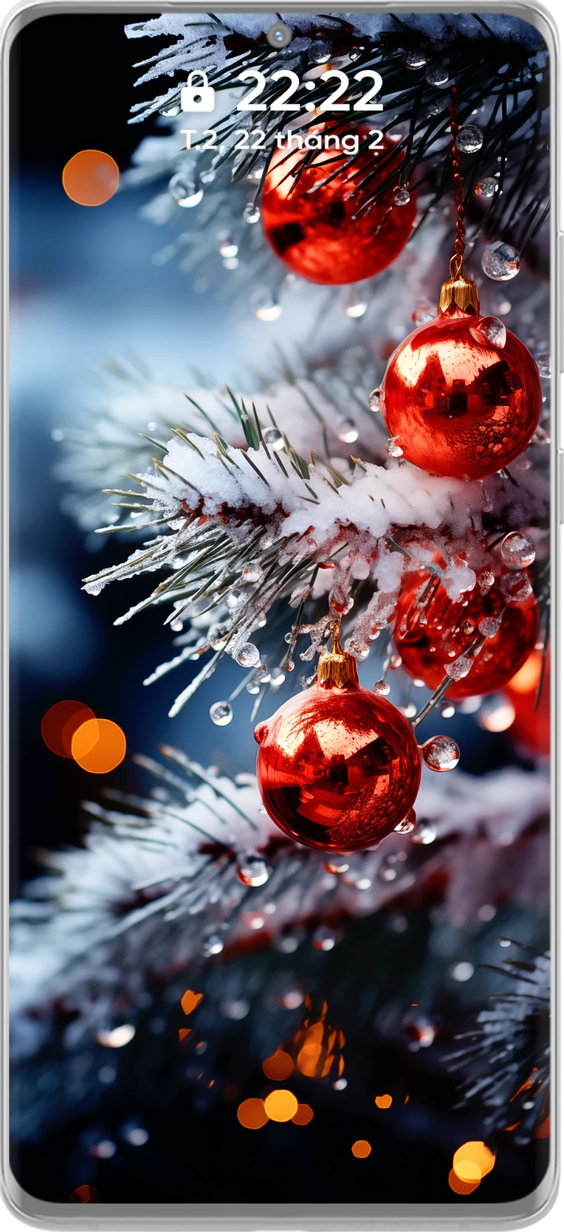 Beautiful and Artistic 4k Water Droplets on Pine Branch Phone Wallpaper Collection